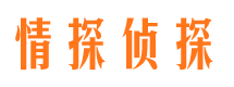 郯城市婚外情取证